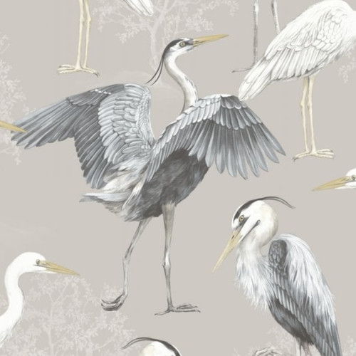 Sale rasch heron birds grey - heron,