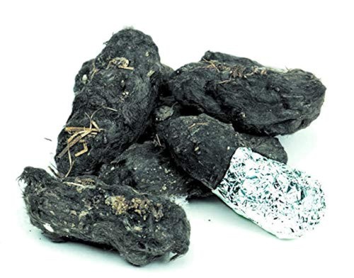 Large barn owl pellets genuine - owl,