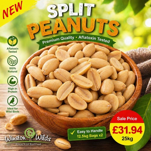 25kg wild bird peanuts - wild,