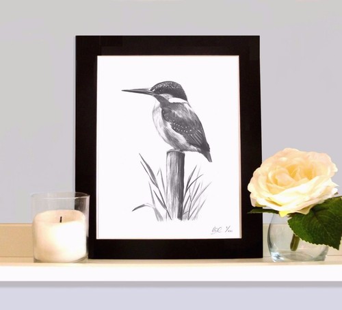 Kingfisher wildlife art print - kingfisher,