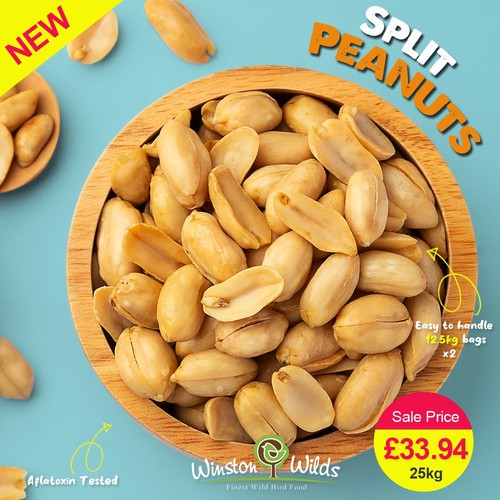 25kg wild bird peanuts - 25kg,