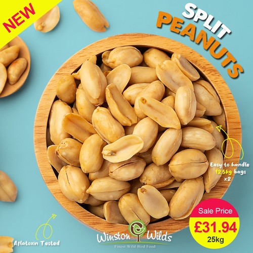 25kg wild bird peanuts - 25kg,