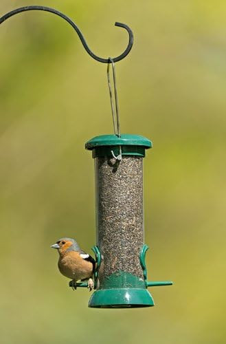 Rspb 68483197 premium hanging - rspb,