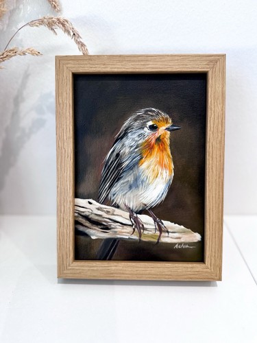 Robin bird oil painting - robin,