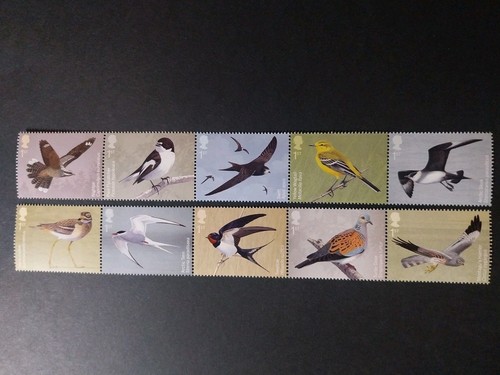 2022 migratory birds - gb, birds''
