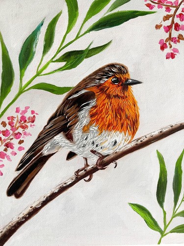 Robin bird original - robin,