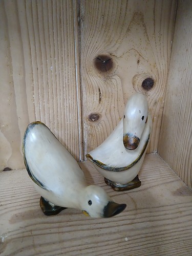 Duck set wood - wood, effect