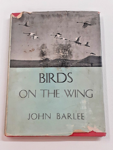 Birds the wing book - the, john