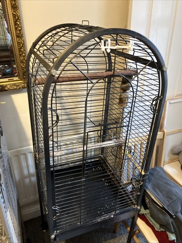 Bird cage for - bird,
