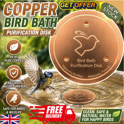 Bird bath copper disk - disk, 99.9%