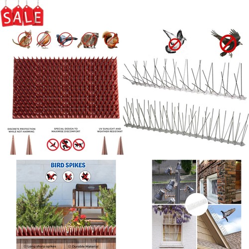Sale bird spikes fences - sale,
