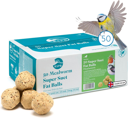 Fat balls bird food - food, for