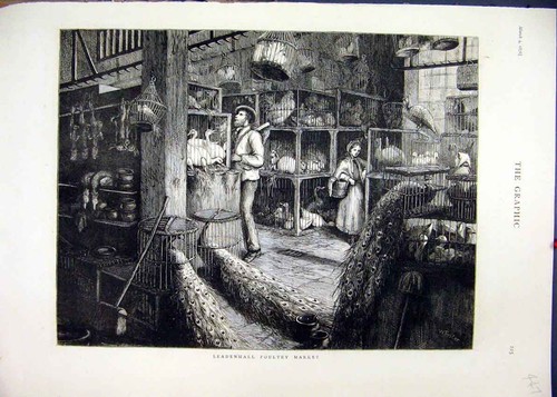 Leadenhall poultry market - leadenhall,