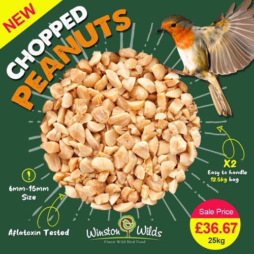 25kg wild bird - wild, (