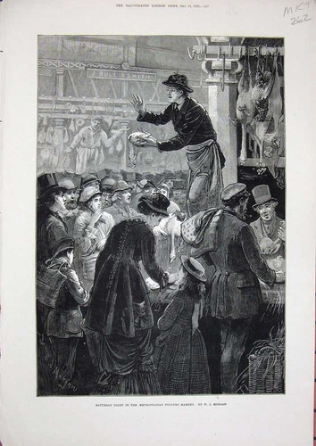 Metropolitan poultry market - poultry,