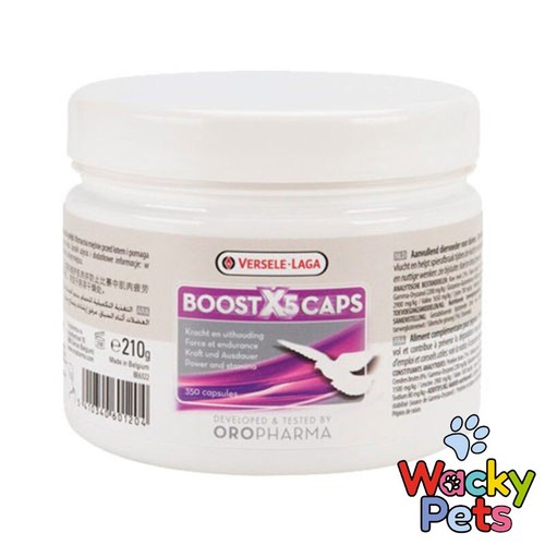 Racing pigeon supplement - racing,