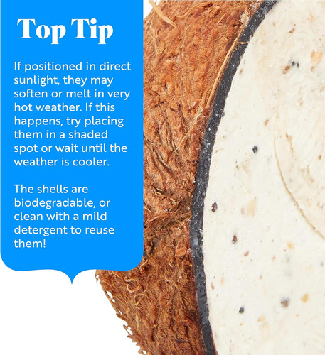 Coconut bird feeder halves - bird,