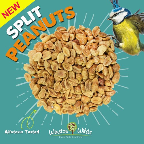 5kg wild bird peanuts - bird,