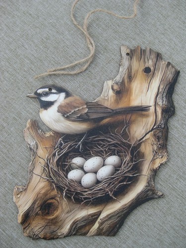 Wooden bird nest - bird, wall