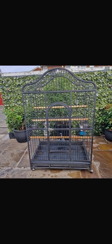 Parrot cage and java tree - parrot,