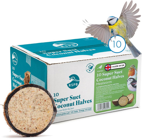 Coconut halves bird - halves, food