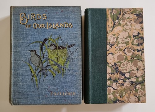 Sale vintage birds our - sale,