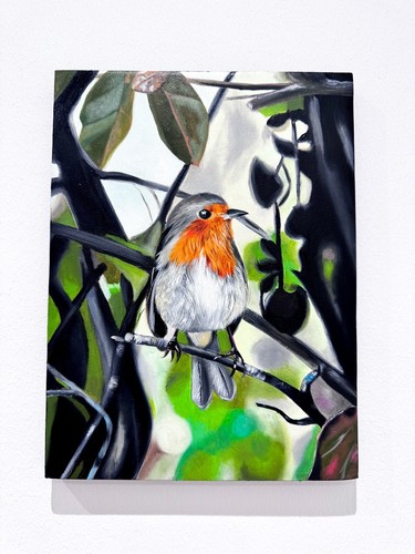 Robin bird oil painting - bird,